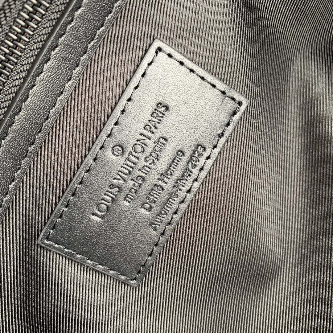 LV Travel Bags